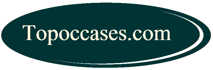 home logo
