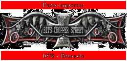 logo bitschop